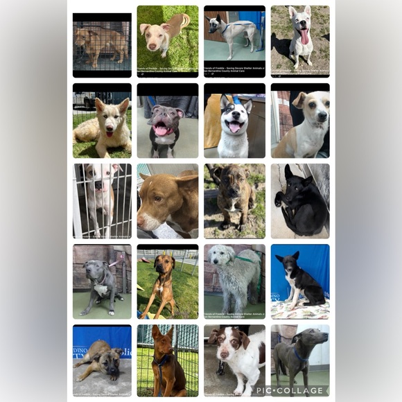 Like for show notifications! - Picture 4 of 6